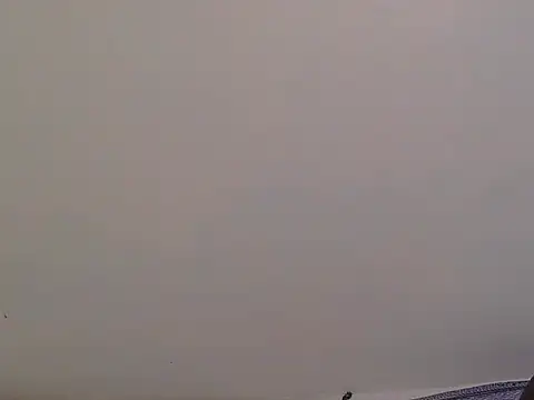 macecce webcam