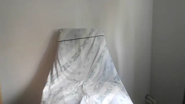fl3xxx1 webcam