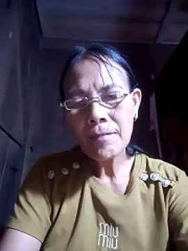 toyo_668 webcam