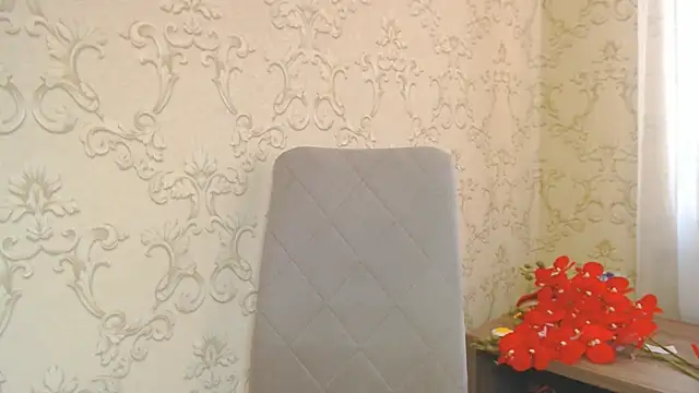 DolphinDreams webcam