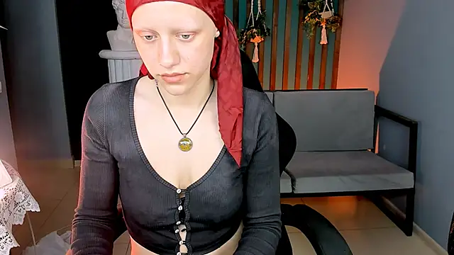 LidaDarknet webcam