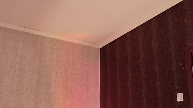 Hello_Lisha