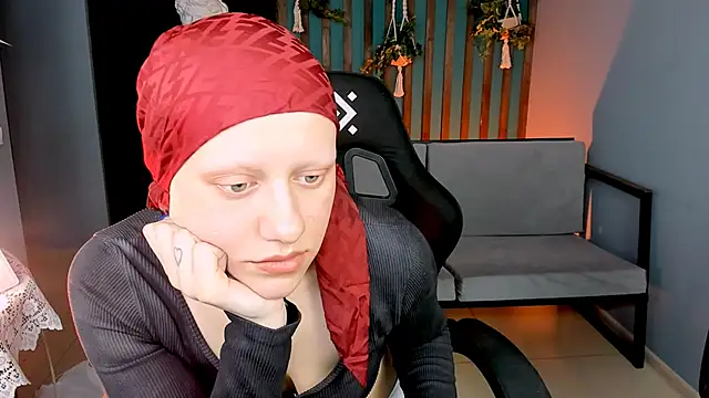 LidaDarknet webcam