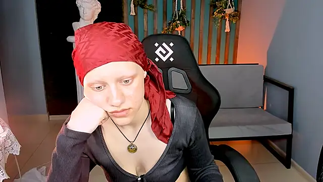 LidaDarknet webcam