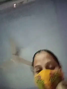 Hansikatelugu webcam