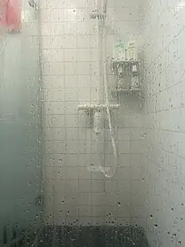 RolandVostok webcam