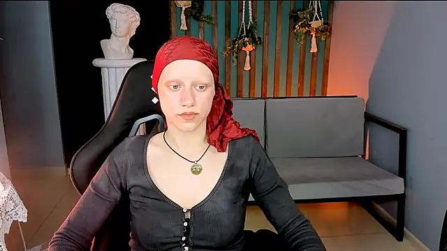 LidaDarknet webcam