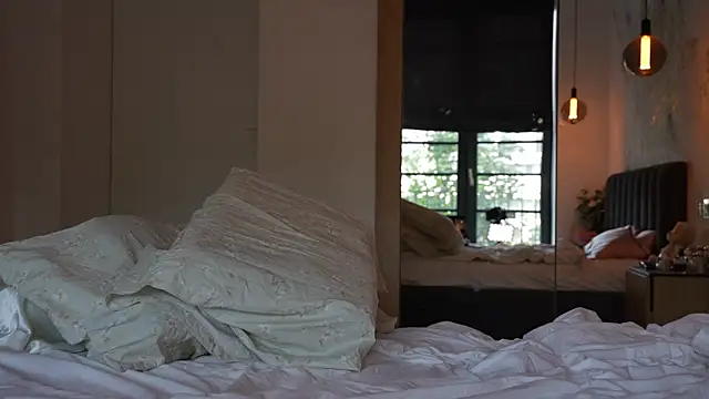 ibiddi webcam