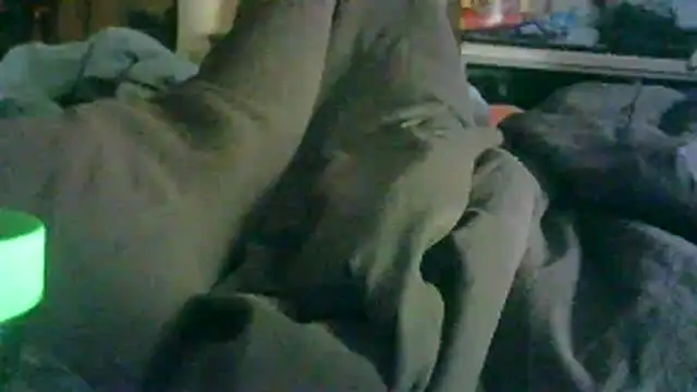_P3RKY_IMMORTAL3_FIR3_ live cam on StripChat