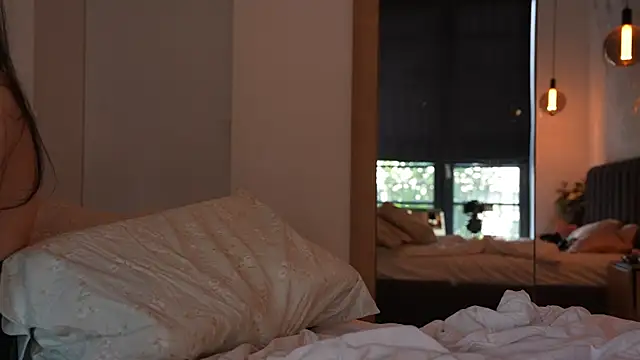 ibiddi webcam