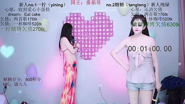 CCTW-100 webcam