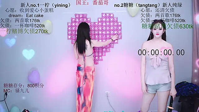 CCTW-100 webcam