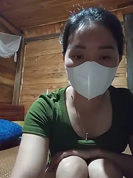 Td3di webcam