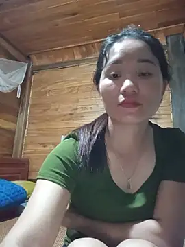 Td3di webcam