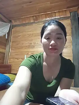 Td3di webcam