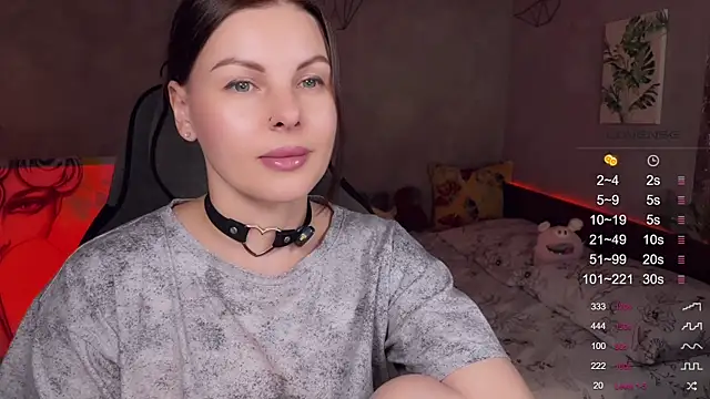 Alaska_ya webcam