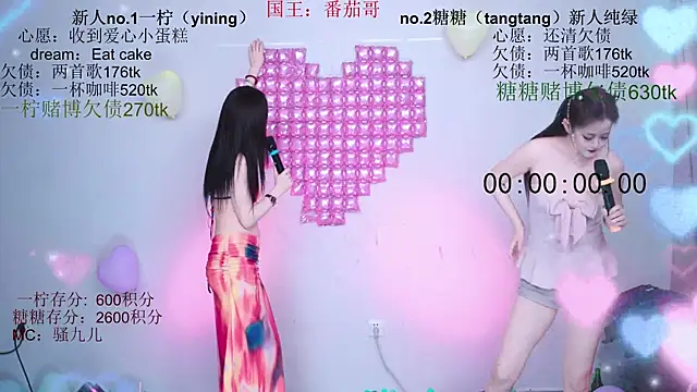 CCTW-100 webcam