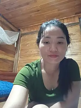 Td3di webcam