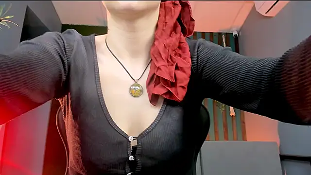 LidaDarknet webcam