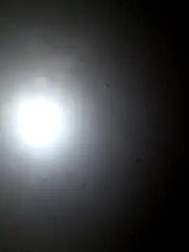 nastyjiji webcam
