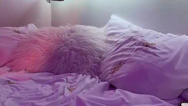 lilastorm7 webcam