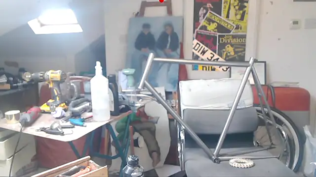 mista_sista_fista webcam