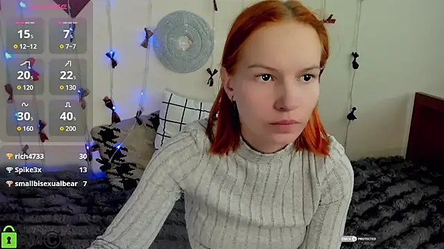 Vedime webcam