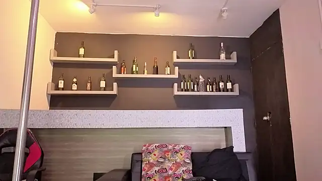 davis_saint webcam