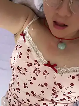 h-139431 webcam