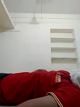 PVRq webcam