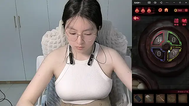 Erya-369 webcam