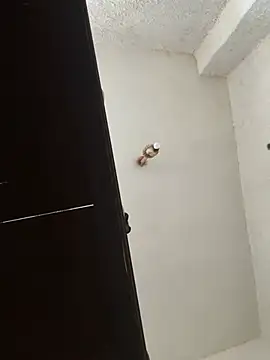 Velvetshadow_48 webcam