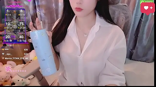 Dully_ana webcam
