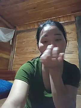 Td3di webcam