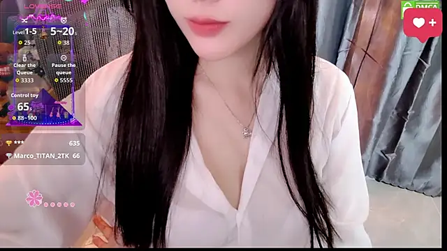 Dully_ana webcam