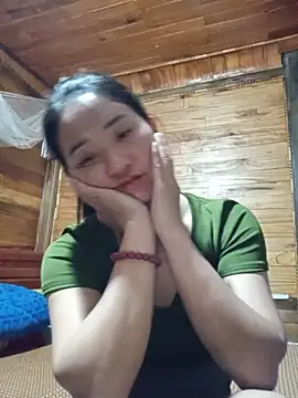 Td3di webcam
