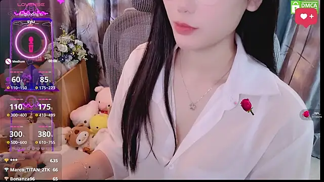 Dully_ana webcam