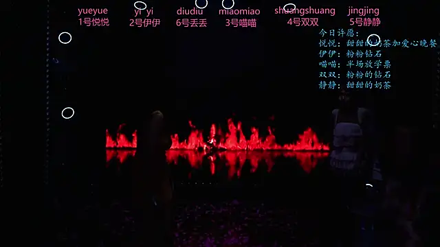 cdyyds003 webcam
