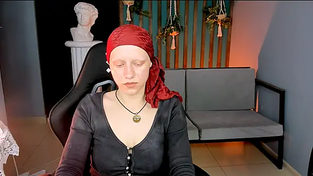 LidaDarknet webcam