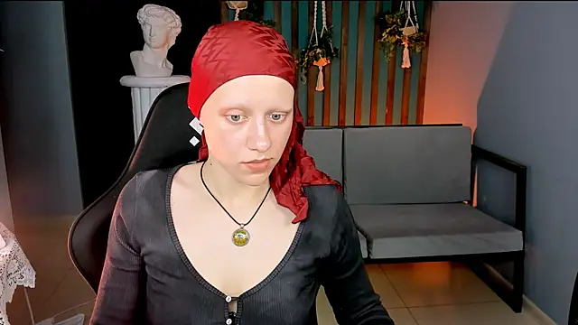 LidaDarknet webcam