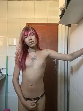 Modelo: itevellyn_