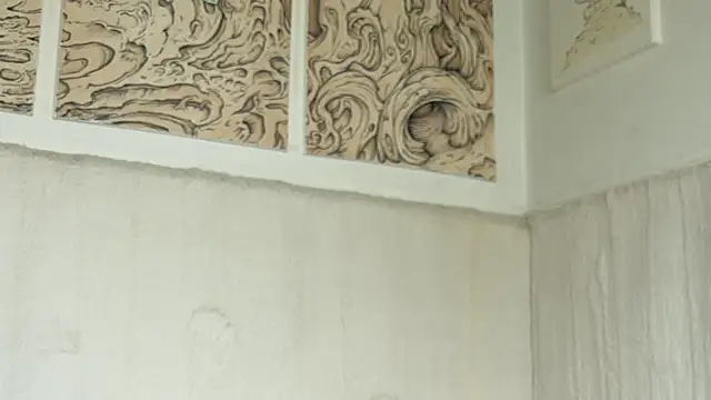 SandraSchon webcam