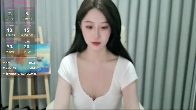LUNYI-CC webcam