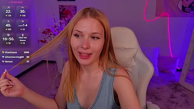 Brietdget webcam