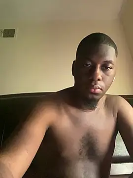 ThickDic28 webcam