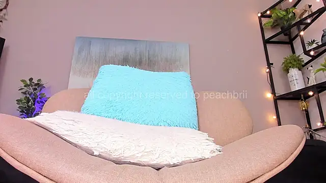 PechBri webcam