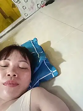 Sana-vn webcam