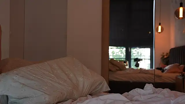ibiddi webcam
