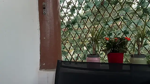 karo123421 webcam