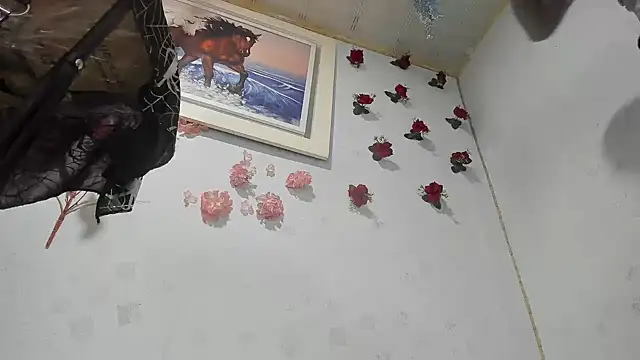 latintransbigcum webcam